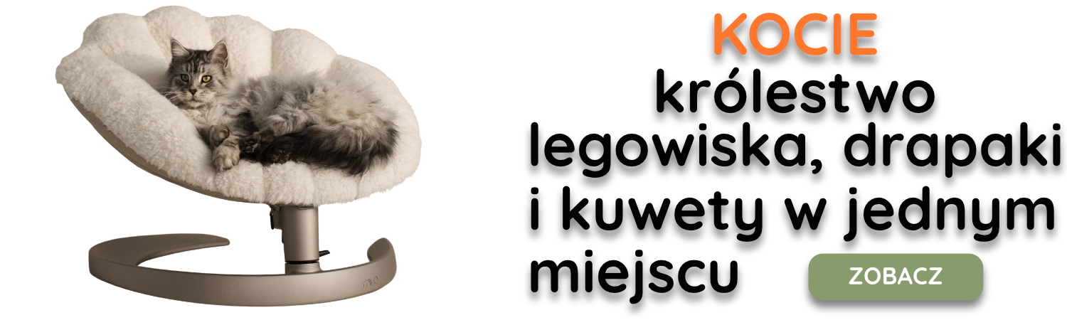 Kocie Królestwo Kocie Królestwo