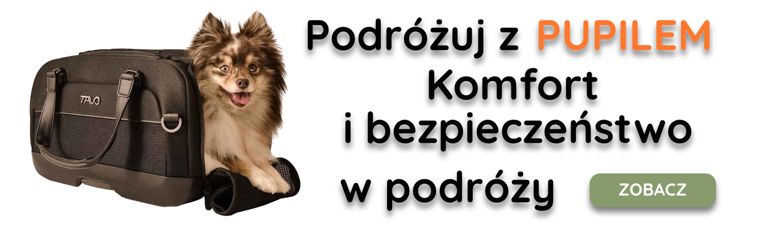 Podróżuj z Pupilem Podróżuj z Pupilem