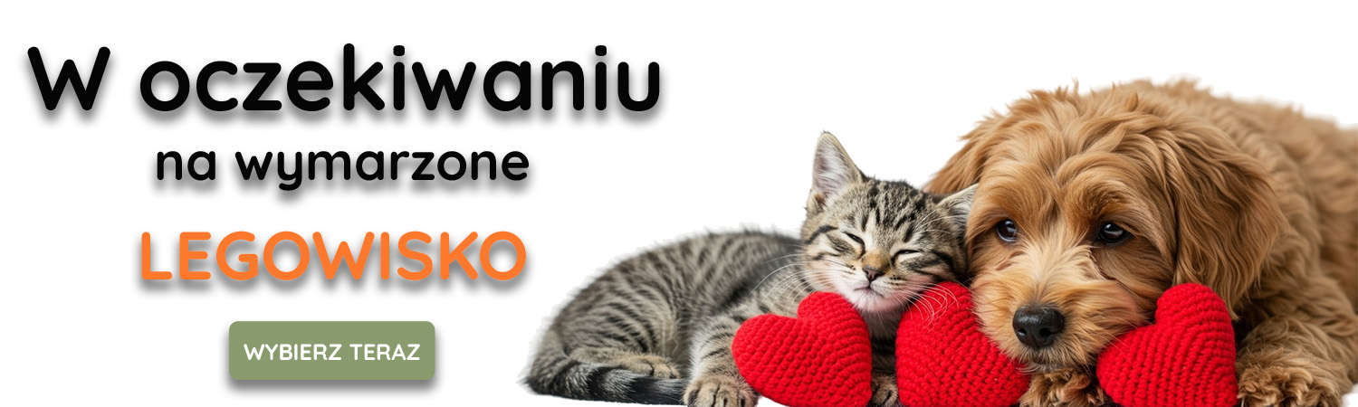 W oczekiwaniu na legowisko W oczekiwaniu na legowisko